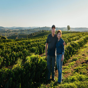 "Brasile Vila Boa - Yellow Catuai Carbon Neutral, caffè specialty di alta qualità"