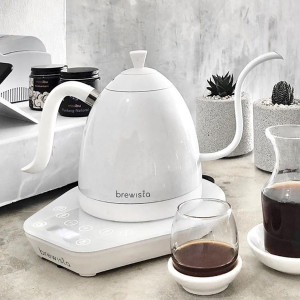 Brewista Artisan 1.0L Gooseneck Kettle in Pearl White