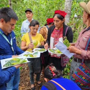 "Produttrice di caffè dell’Asociación de Agricultores El Esfuerzo, Guatemala Café FEMENINO, Slow Food Coffee Coalition"