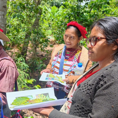 "Coffee producer of the Asociación de Agricultores El Esfuerzo, Guatemala Café FEMENINO, Slow Food Coffee Coalition"
