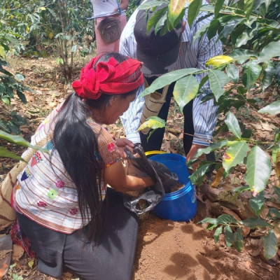 "Coffee producer of the Asociación de Agricultores El Esfuerzo, Guatemala Café FEMENINO, Slow Food Coffee Coalition"