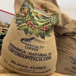 Raccolta e lavorazione naturale del Bajawa Forest Coffee nelle foreste vulcaniche di Flores, Indonesia.