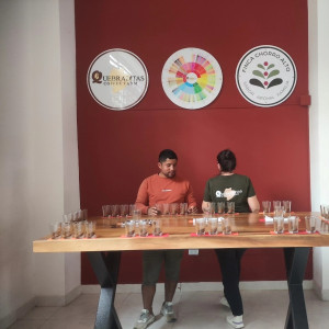 Finca La Quebradaditas – Typica Mejorado Washed - Termal shock