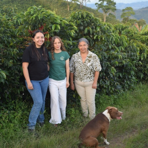 Finca La Quebradaditas – Typica Mejorado Washed - Termal shock