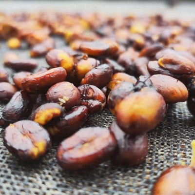 Finca La Quebradaditas – Typica Mejorado Washed - Termal shock