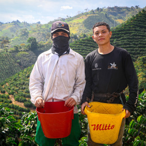 Finca Las Flores (Huila): microlotto Washed Sidra Bourbon