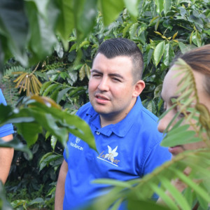 Finca Las Flores (Huila): microlotto Washed Sidra Bourbon