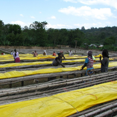 Etiopia Nensebo – Natural Sidamo Gr.1