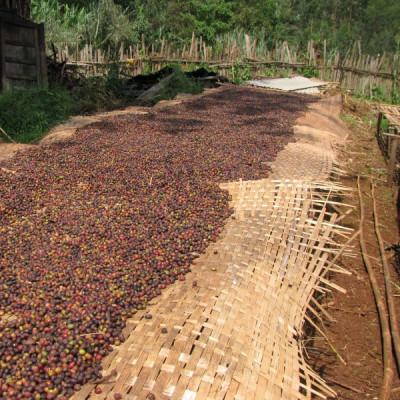 Etiopia Nensebo – Natural Sidamo Gr.1