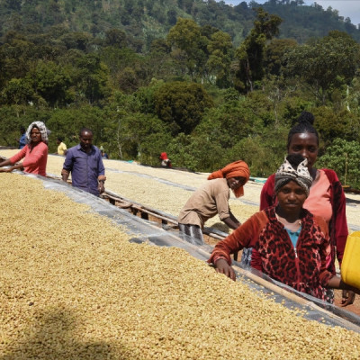 Etiopia Nensebo – Natural Sidamo Gr.1