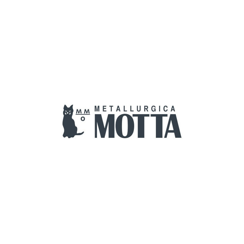 Immagine logo Motta